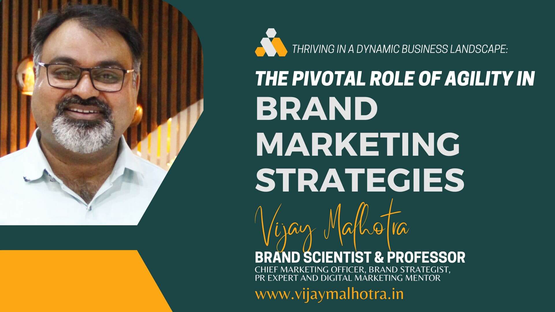 Brand Marketing Strategies by Vijay Malhotra